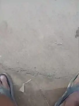 Vizgeboys online show from July 2026 12:41:01 PM