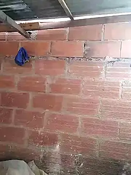 hoteder online show from March 2026 11:51:01 AM