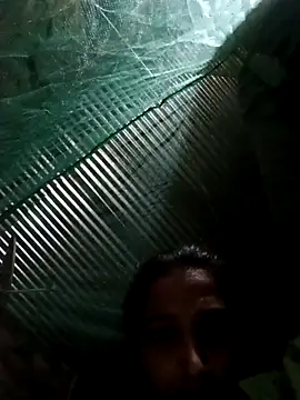 Pinki thakur 1 online show from March 2026 05:17:01 PM