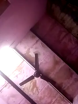 TINASONI online show from April 2026 09:17:01 AM