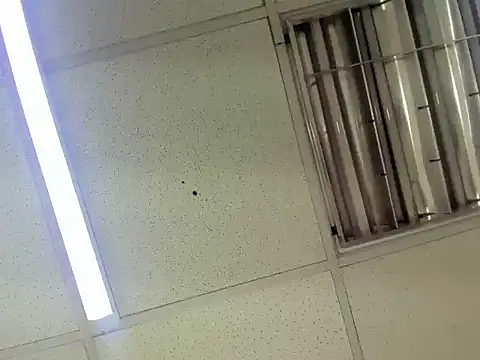 Aisha hotts777 online show from February 2026 03:47:02 AM