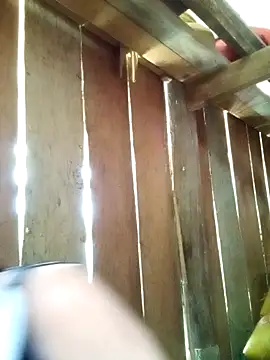 misa 00 online show from April 2026 04:46:01 AM