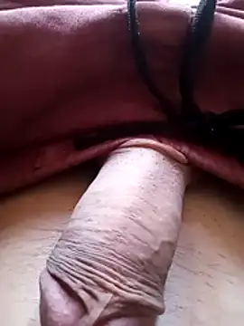 bemmagrinho36 online show from February 2026 04:21:02 PM