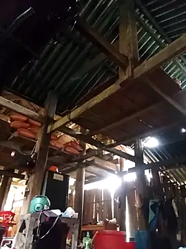 Ngocmi909 online show from March 2026 06:30:01 AM