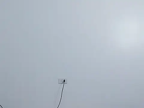 Siglemom sexy online show from April 2026 07:55:01 PM