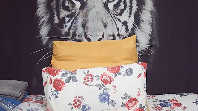 SweetPortableAmber online show from February 2026 07:34:02 PM