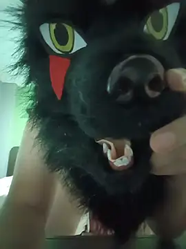 Wolf Okami SP online show from July 2026 02:30:02 PM