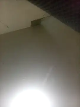 Bebicho14 online show from April 2026 02:56:01 AM