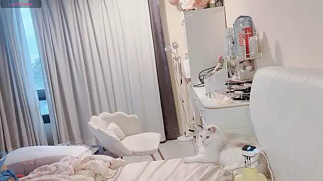 jiajia 0902 online show from March 2026 09:46:01 AM