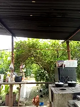 AlphaAlterX online show from March 2026 06:14:02 PM