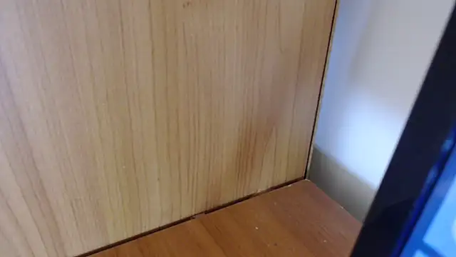 Pamela-StripX online show from March 2026 08:37:02 PM