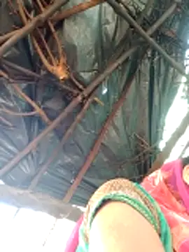 H seema online show from April 2026 02:27:01 AM