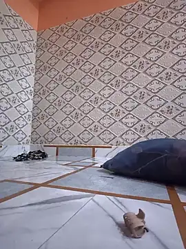 Aidakhan1212 online show from March 2026 04:23:01 PM