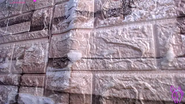 Bicky 24 online show from March 2026 09:13:01 AM