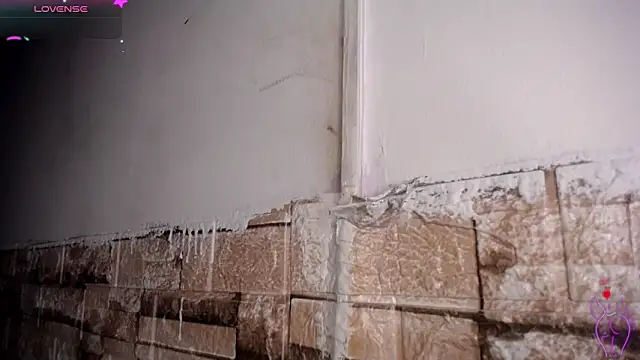 Bicky 24 online show from March 2026 09:01:01 AM