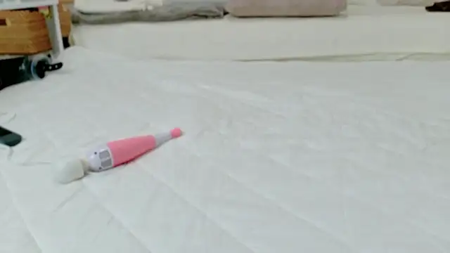 -barbapapa- online show from March 2026 10:48:02 AM