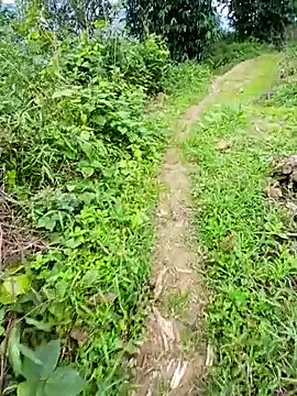 kemtuoi-sex online show from June 2026 03:21:02 AM