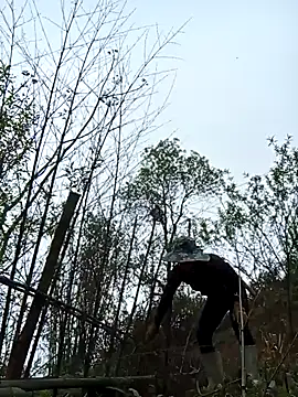 bonnie-00 online show from March 2026 02:38:02 AM