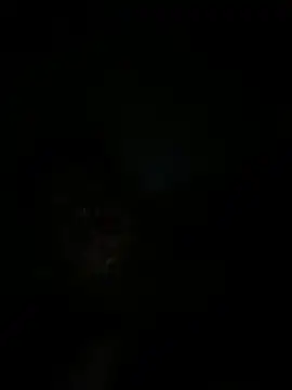 RangingWarranty online show from October 2025 07:20:02 AM