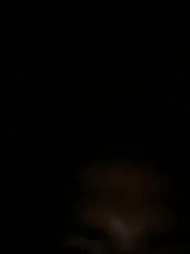 RangingWarranty online show from April 2026 10:35:02 AM