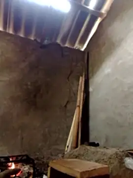 donna-bae online show from March 2026 04:30:02 AM