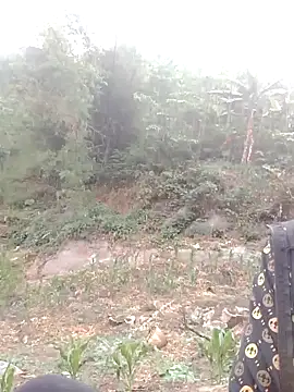 donna-bae online show from April 2026 10:09:02 AM