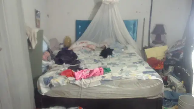 rachelexoticgirl online show from July 2026 05:14:01 AM