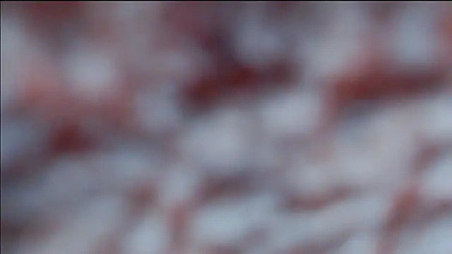 hsua0098 online show from April 2026 10:34:02 PM