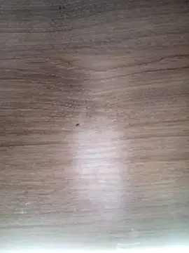 ValeriaLove43211 online show from March 2026 06:31:02 AM