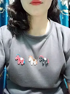 Mc chinese online show from March 2026 11:48:01 AM