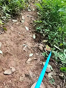 telugumodda4396 online show from September 2025 06:28:02 AM