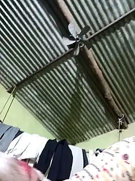 Haliya88 online show from February 2026 08:52:01 PM