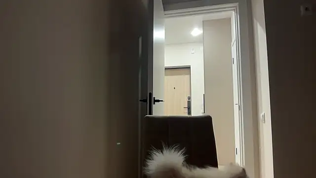CandysRose online show from April 2026 06:14:02 PM