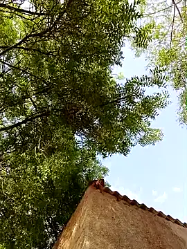 Rs sonam online show from April 2026 10:48:01 AM