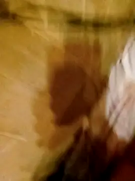 Apeesynka55211 online show from March 2026 08:59:01 PM