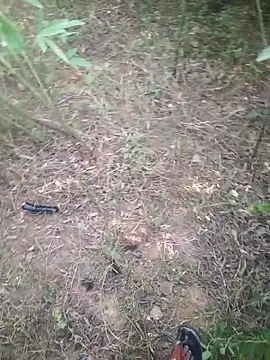 Aadityaaa07 online show from November 2025 05:40:02 AM