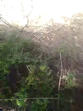 Aadityaaa07 online show from April 2026 08:40:01 AM