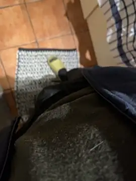 4dagals online show from April 2026 05:41:02 AM