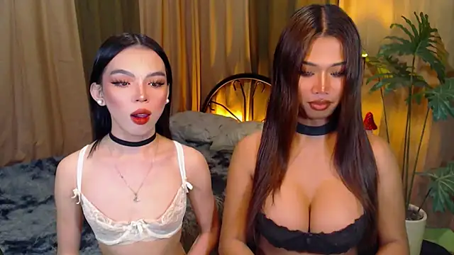 Snapshot of TWINKTRANSSHANEL chatting on October 2025 04:32:02 AM TWINKTRANSSHANEL online show from October 2025 04:32:02 AM