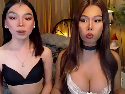 Snapshot of TWINKTRANSSHANEL chatting on October 2025 04:21:02 AM TWINKTRANSSHANEL online show from October 2025 04:21:02 AM