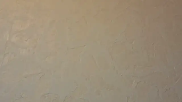 Kavin New online show from March 2026 03:51:01 PM