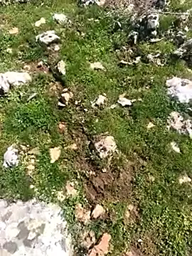 Sert erkek21 ysm online show from March 2026 11:26:01 AM