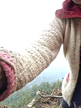 miomio-12 online show from March 2026 12:17:02 AM