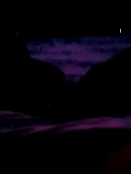 veintitres23 online show from November 2025 07:52:02 AM