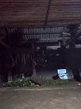 jerry-xx online show from March 2026 10:09:01 PM