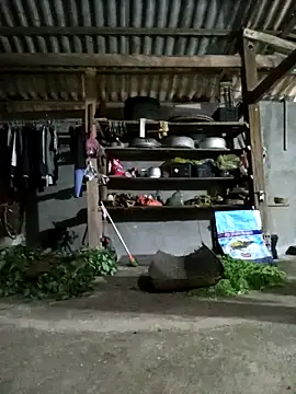 jerry-xx online show from April 2026 10:14:02 AM