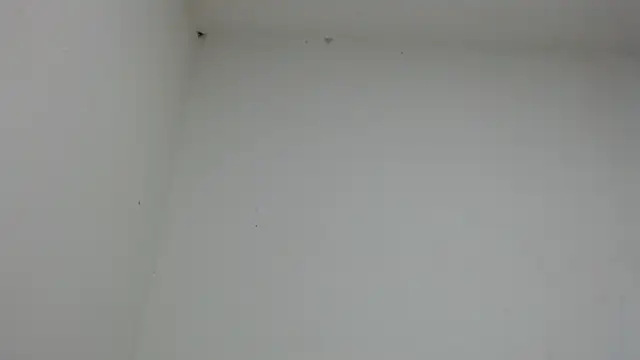 drako monster online show from January 2026 10:46:01 PM