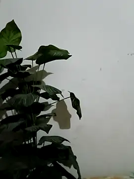 Jessica-03 online show from March 2026 04:57:01 PM