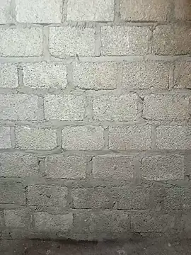 siusiu-00 online show from March 2026 11:49:01 AM