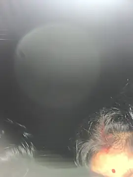 Ragni bhargav online show from January 2026 04:22:02 PM